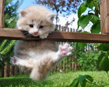 Схема вышивки «спортсмен»