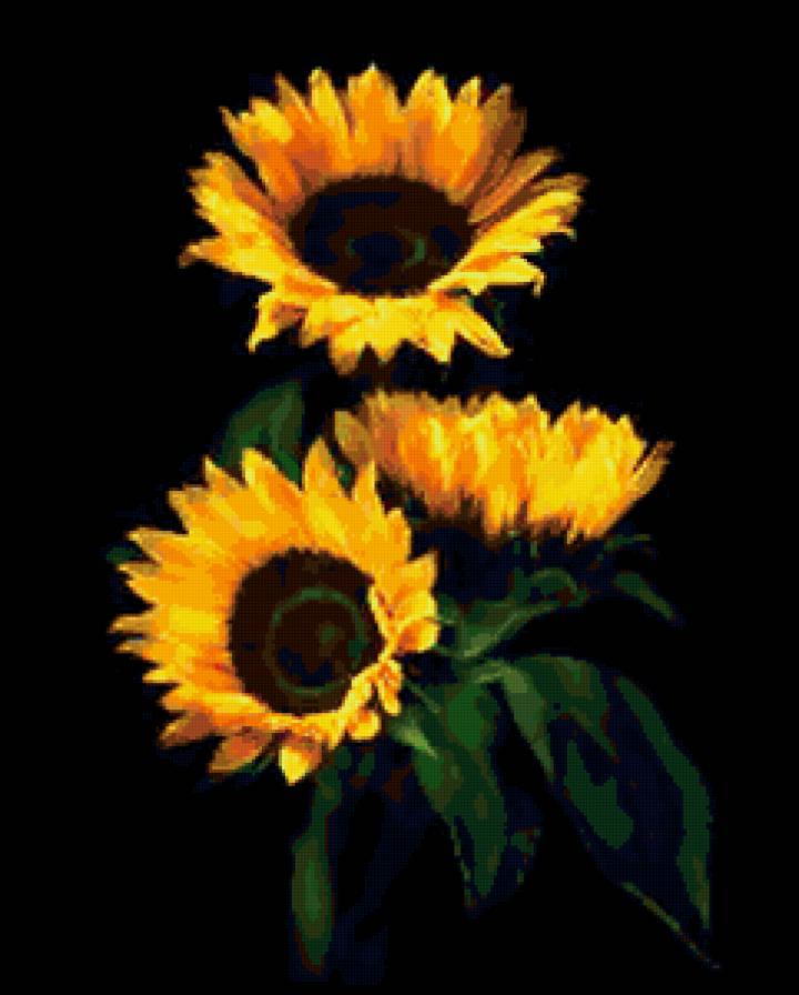 №294268 - розы, букеты, цветы - предпросмотр