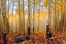 Схема вышивки «№294283»