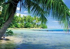 Схема вышивки «№294295»