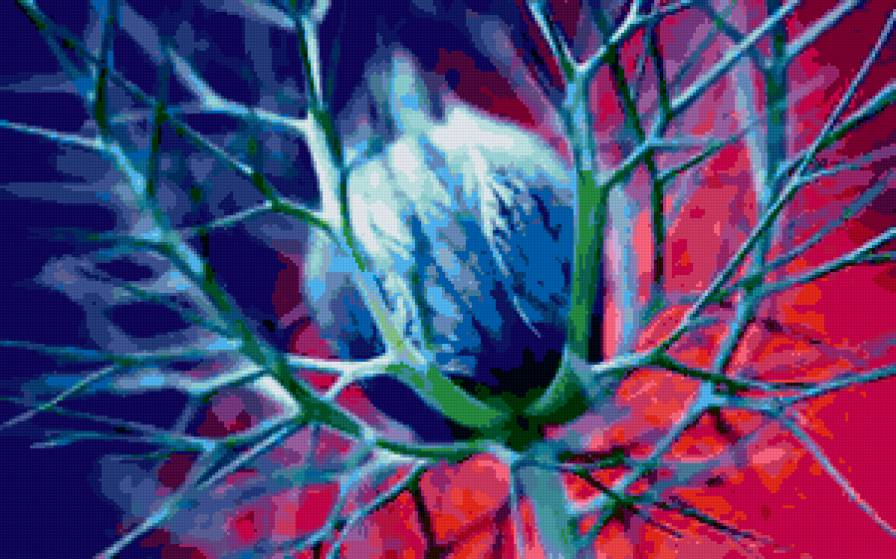 №294301 - букеты, цветы, розы - предпросмотр