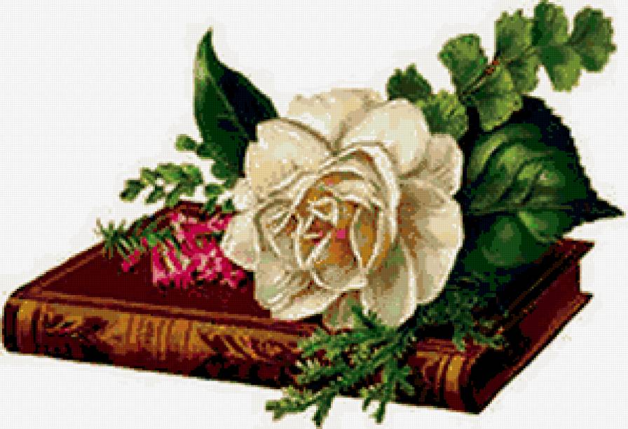 №294378 - цветы, букеты, розы - предпросмотр