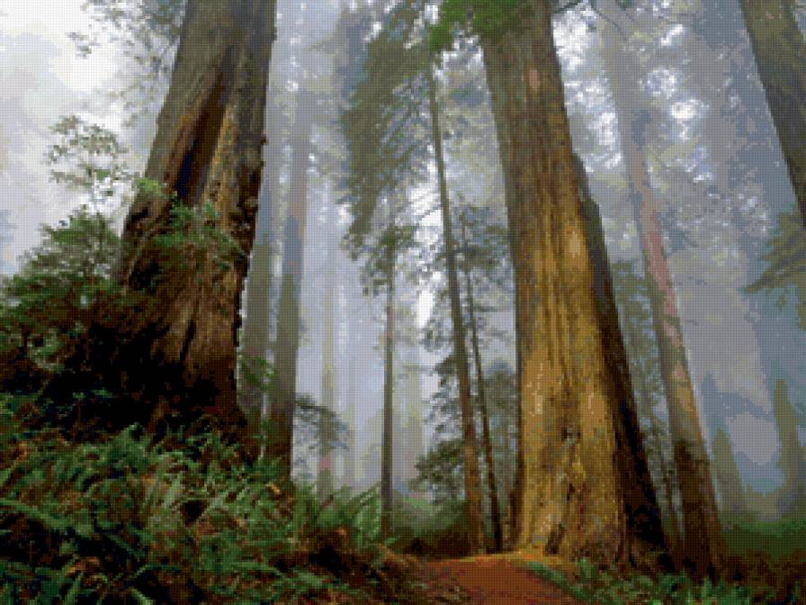 лес - природа.лес - предпросмотр