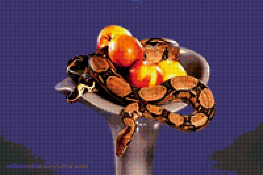 змея - фрукты, животные, змея - предпросмотр