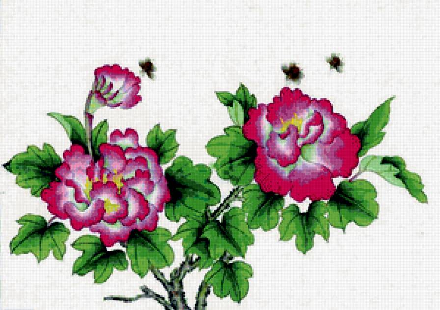 №294568 - предпросмотр