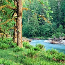 Краски лета