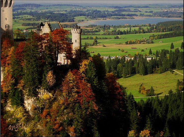 №294624 - оригинал