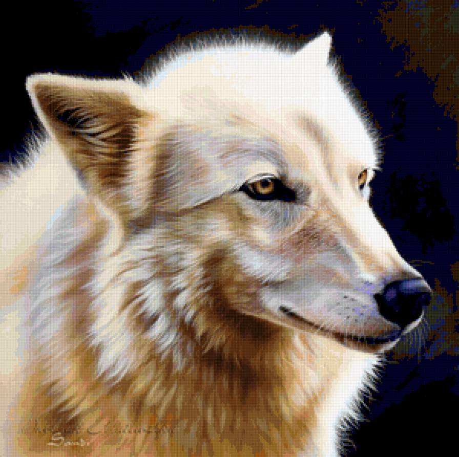 ХУДОЖНИК - Sandi Baker - лес, зверь, животное, хищник, картина, волк, белый волк - предпросмотр