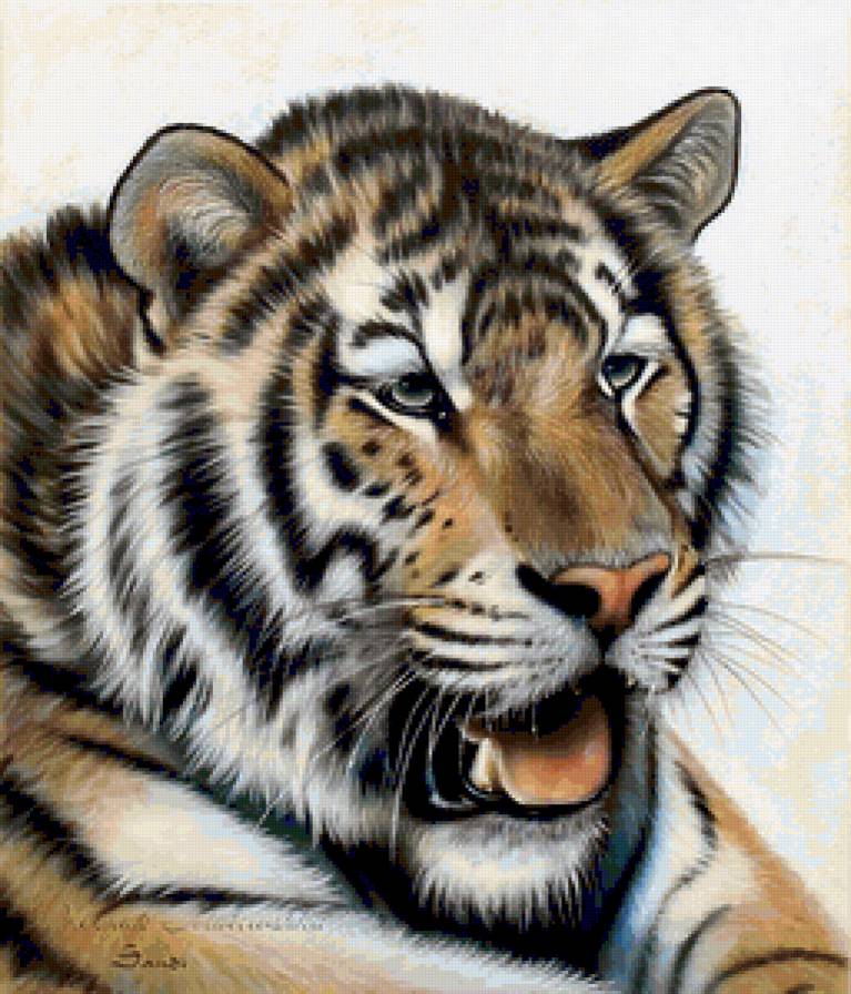 ХУДОЖНИК - Sandi Baker - тигр, зверь, леопард, хищник, дикая кошка, животное, картина - предпросмотр