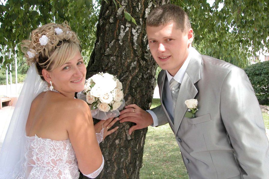 №294819 - оригинал