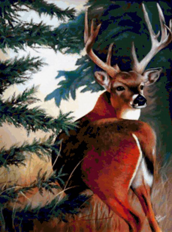 Олень - рога, лес, деревя, природа, олень, животное - предпросмотр