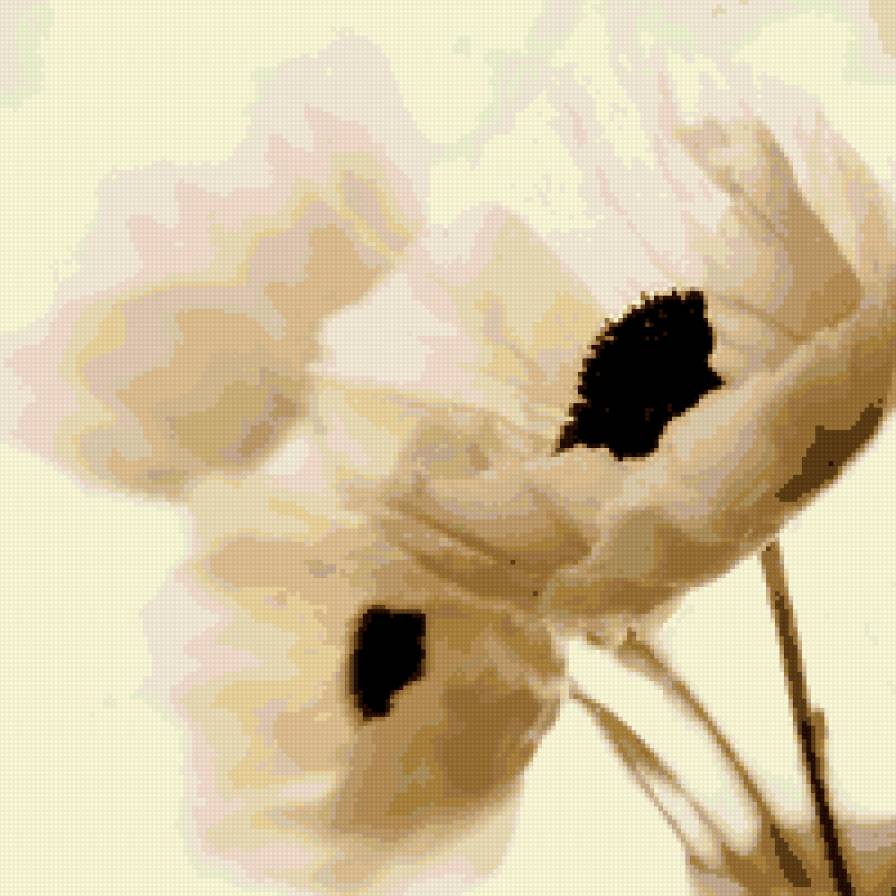 Маки - маки, растения - предпросмотр