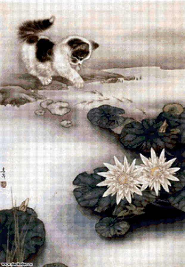 игра - лилии, котенок, река, вода, игра, рыбки - предпросмотр