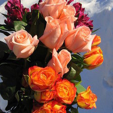 Схема вышивки «розы»