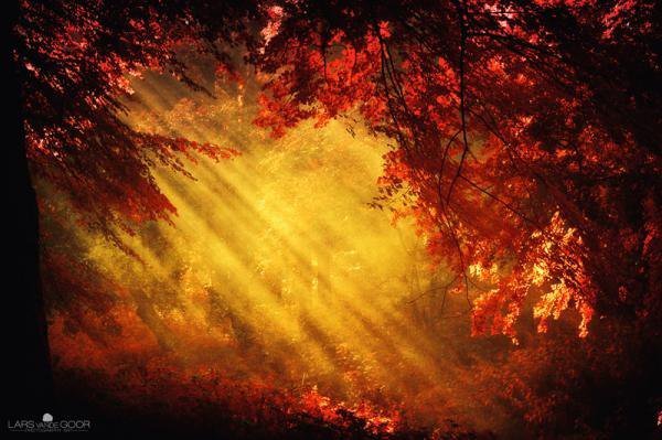 Солнечный луч - природа - оригинал