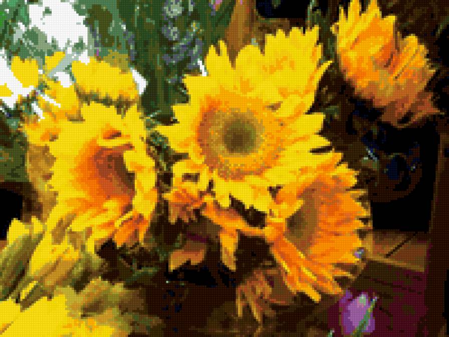 дары солнца - природа.цветы. подсолнух - предпросмотр