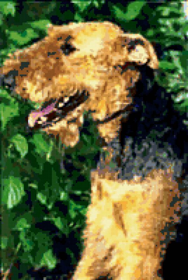 Ердельтер`эр2 - предпросмотр