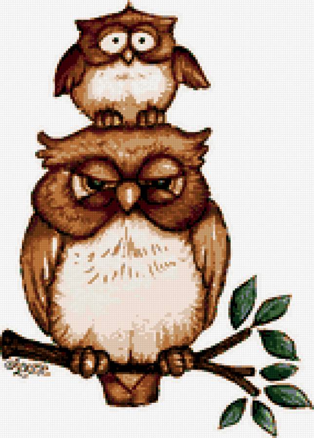 Owl Grumpy - совы - предпросмотр