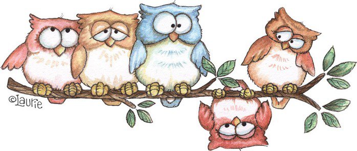 Owls on a Branch - совы - оригинал