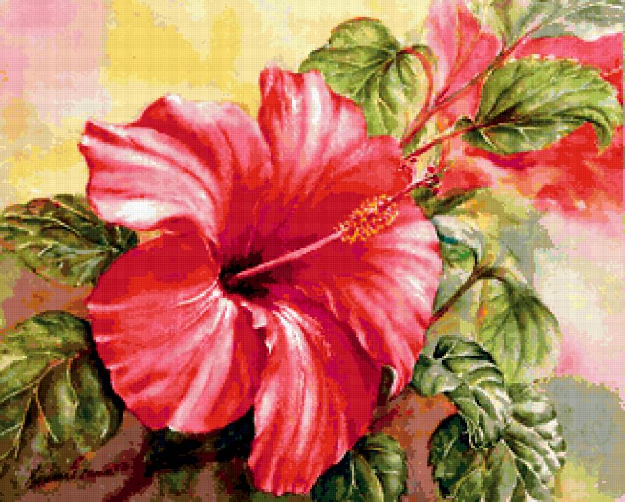 китайская роза - предпросмотр