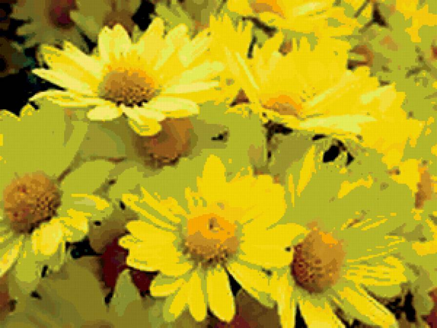 Идея для подушки - розы, цветы, букеты - предпросмотр