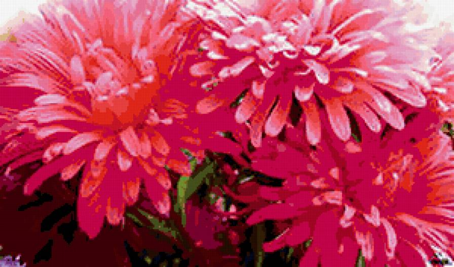 №295331 - букеты, розы, цветы - предпросмотр