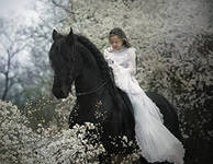 №295380 - люди, портреты - оригинал