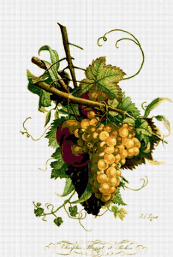 №295412 - предпросмотр