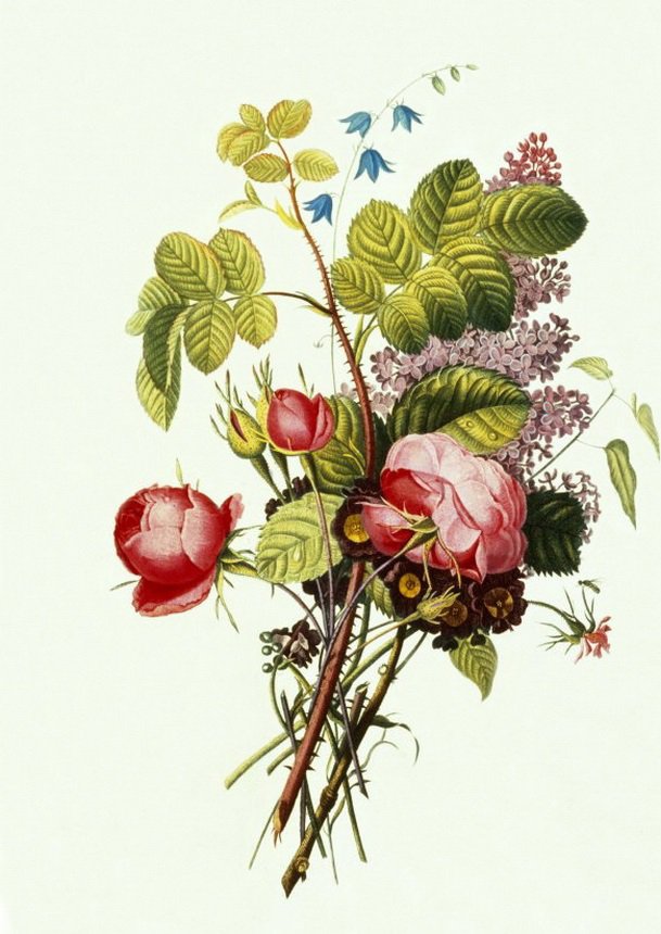 №295414 - оригинал