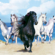 Схема вышивки «Кони»