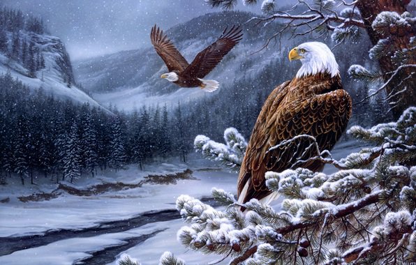 пейзаж - птица, зима, пейзаж, птицы, орел - оригинал