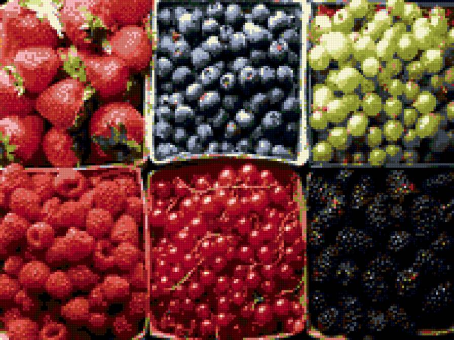 ягоды - лесные ягоды, ягода, лето, черника, ягодка, клубника - предпросмотр