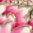 Предпросмотр схемы вышивки «Пионы на черном фоне -  60 цветов» (№295709)