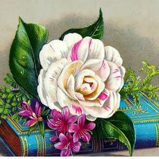 Схема вышивки «для души»