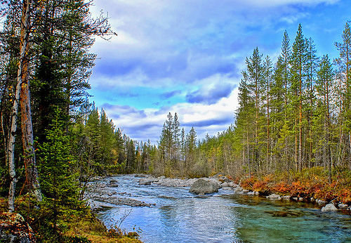 природа - река, лес - оригинал