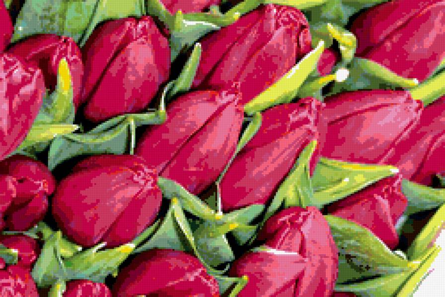 тюльпаны - букет, тюльпаны, цветы - предпросмотр