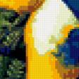 Предпросмотр схемы вышивки «колибри» (№296120)