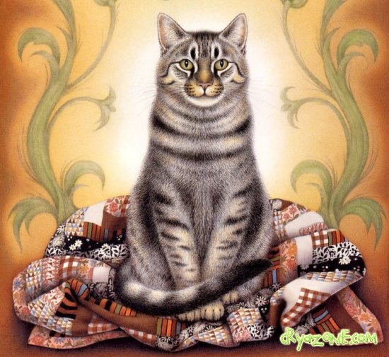 кот - оригинал