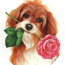 Оригинал схемы вышивки «Собачка с розой» (№296191)