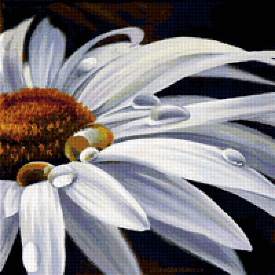 ромашка - ромашка - предпросмотр