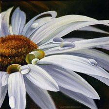 Схема вышивки «ромашка»