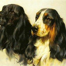 Схема вышивки «спаниэли»