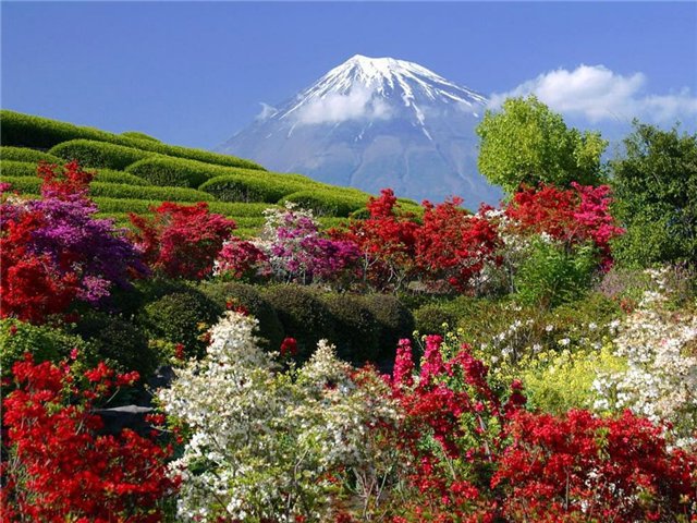 красота гор - картина - оригинал