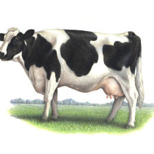 Схема вышивки «№296391»