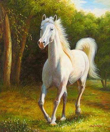 белая лошадь - лошади - оригинал