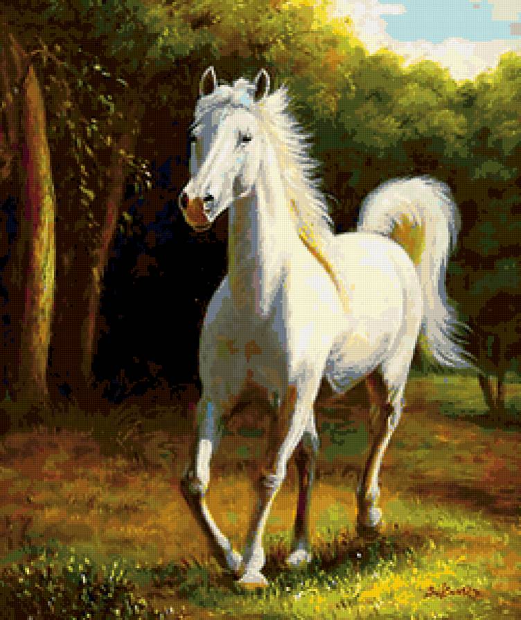 белая лошадь - лошади - предпросмотр