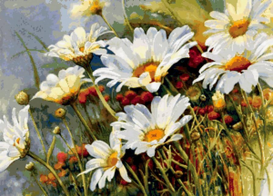 ромашки - цветы, ромашки - предпросмотр