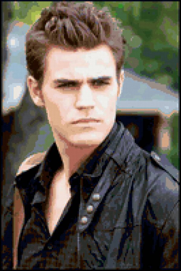 серия "дневники вампира" - фильмы, кино, дневники вампира, стефан сальватор, пол уэсли - предпросмотр