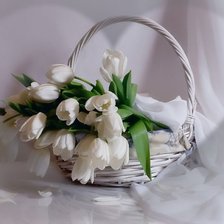 Схема вышивки «№296591»