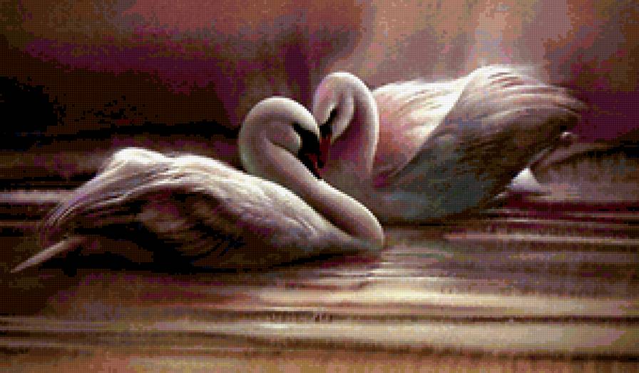 лебеди - природа, лебеди - предпросмотр